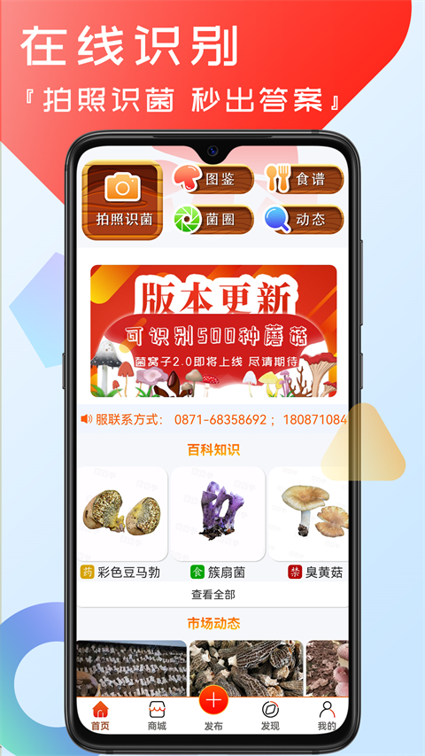 菌窝子图4