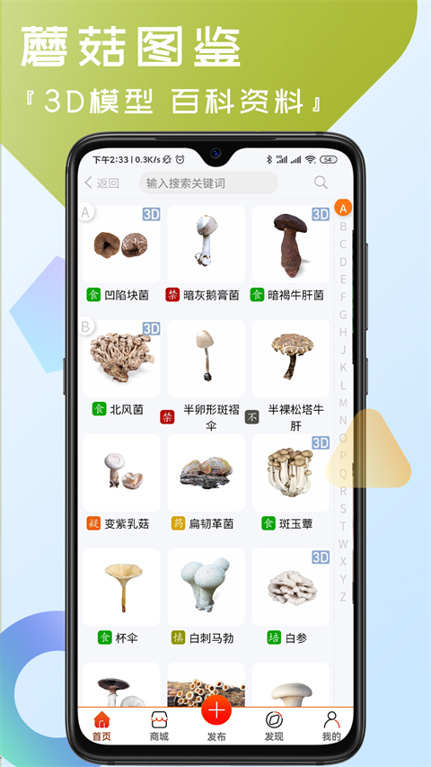 菌窝子图2