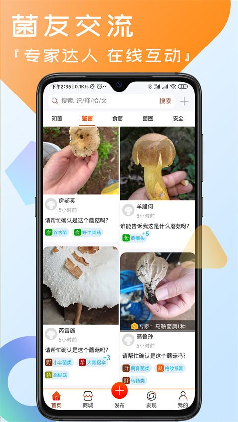 菌窝子图3