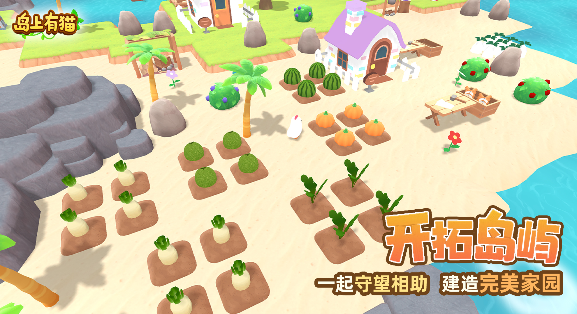 岛上有猫图2