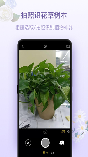 拍照识花神器图4