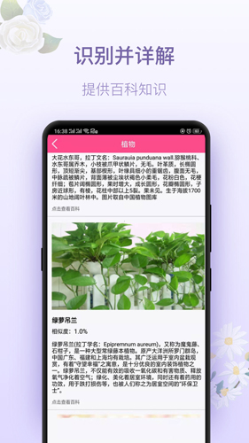 拍照识花神器图2