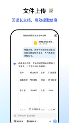 DeepSeekV3官方正版图3
