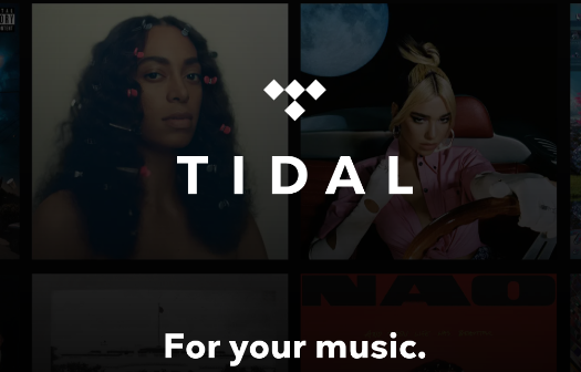 Tidal图2