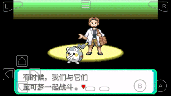 口袋妖怪究极绿宝石图2