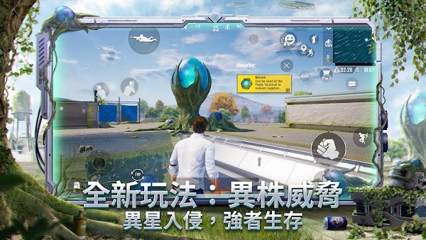 帕普及图4