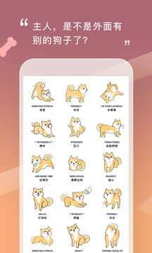 人狗交流器图2