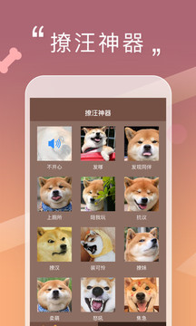 人狗交流器图1