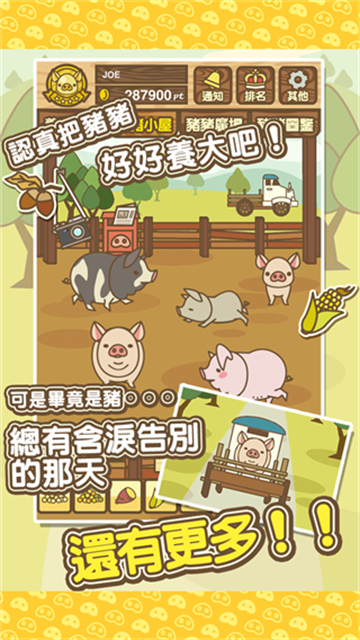 养猪场MIX图3