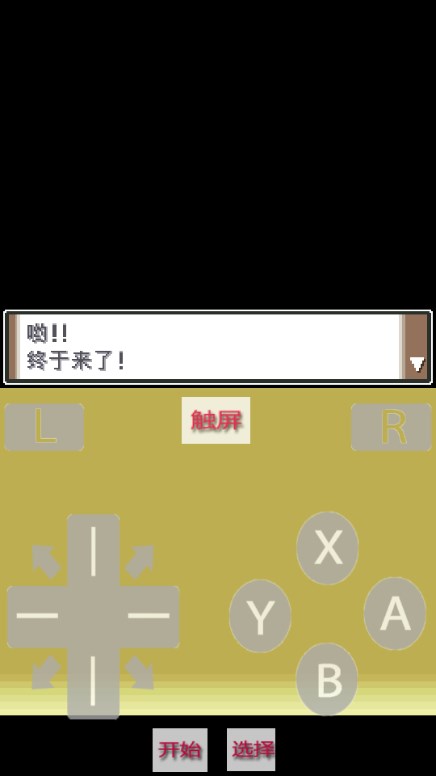 口袋妖怪白金图1