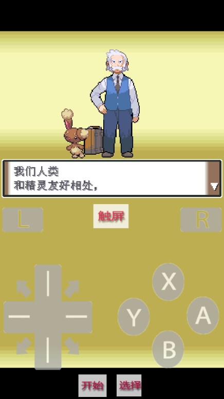 口袋妖怪白金图3