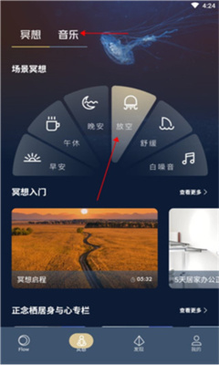 FLOW冥想图1