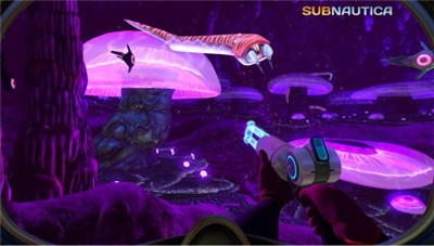 美丽水世界中文版图3