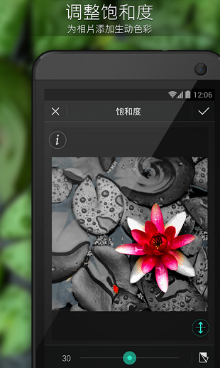 相片大师图1