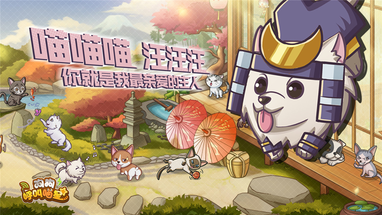 狗狗呼叫喵星图1