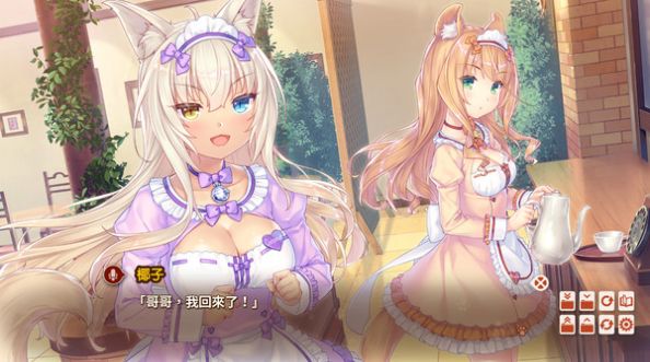 猫娘乐园图2