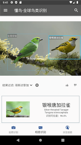 懂鸟全球图2