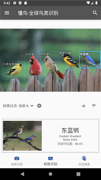 懂鸟全球图3