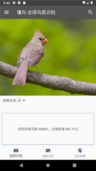懂鸟全球图1