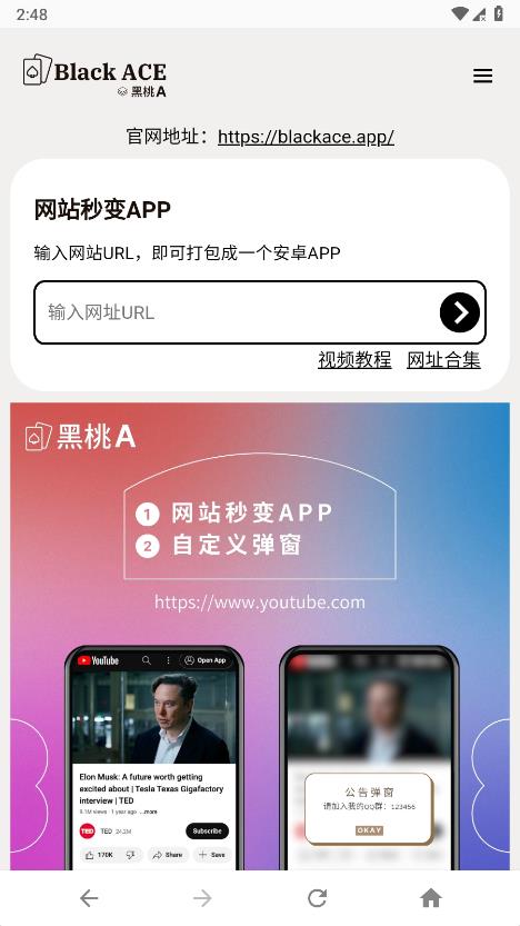 黑桃A图1