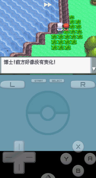 口袋妖怪珍珠图3