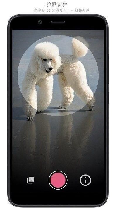 万物识别图4