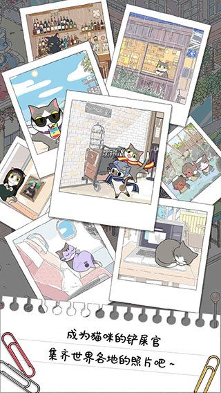 猫友圈猫咪的旅行图2