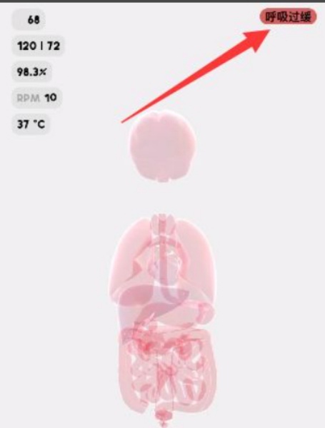 生命life图4