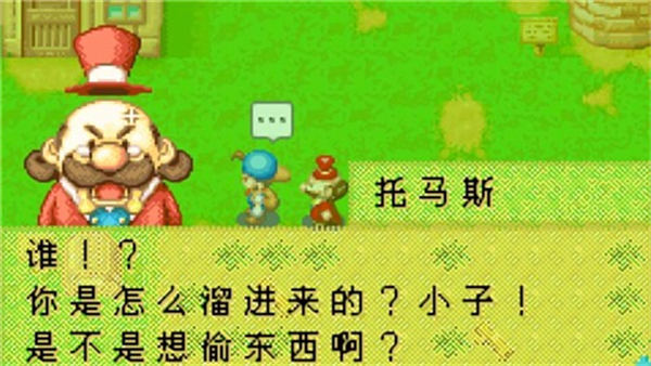 牧场物语矿石镇的伙伴们金手指版图1