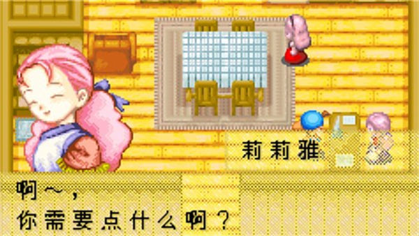 牧场物语矿石镇的伙伴们金手指版图2
