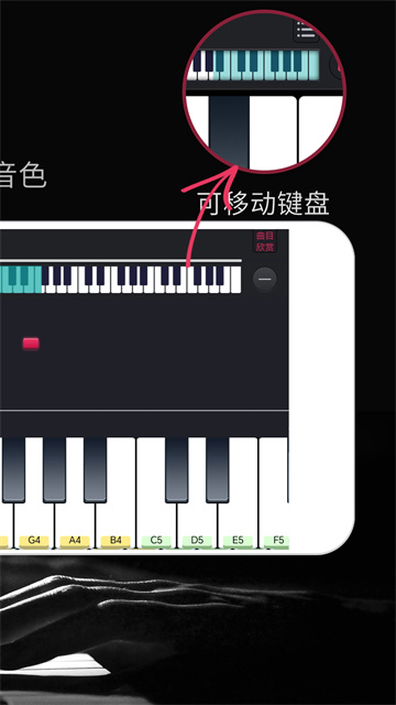 模拟钢琴图4