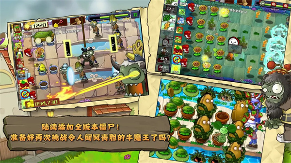 植物大战僵尸精华版图2