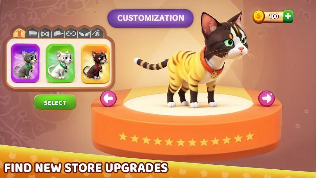 愤怒的奶奶与猫恶作剧游戏图1
