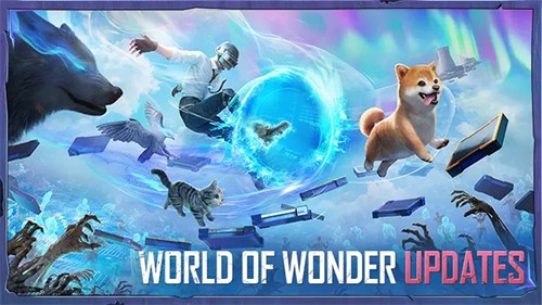 pubgmobile国际服正版图3