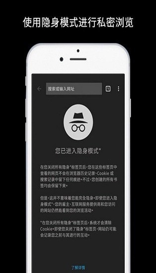 谷歌浏览器手机图3