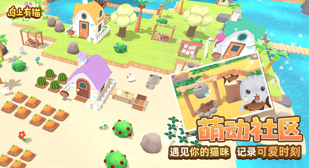 岛上有猫图1