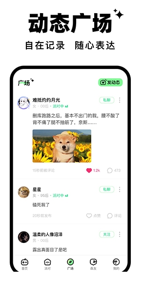 森林派对图1