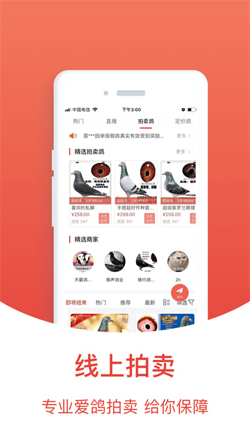 搜鸽天下图2
