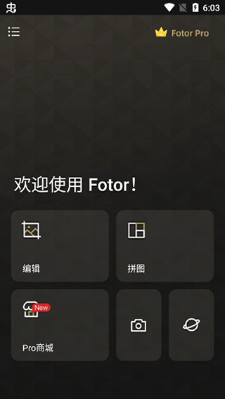 fotor图片编辑器专业版图4
