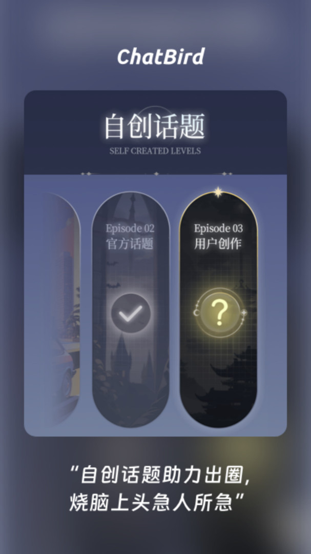 ChatBird图5