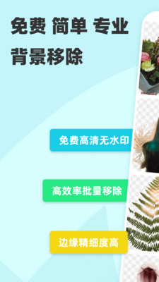 椰子背景图2