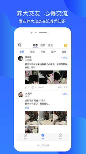 犬卫士图5