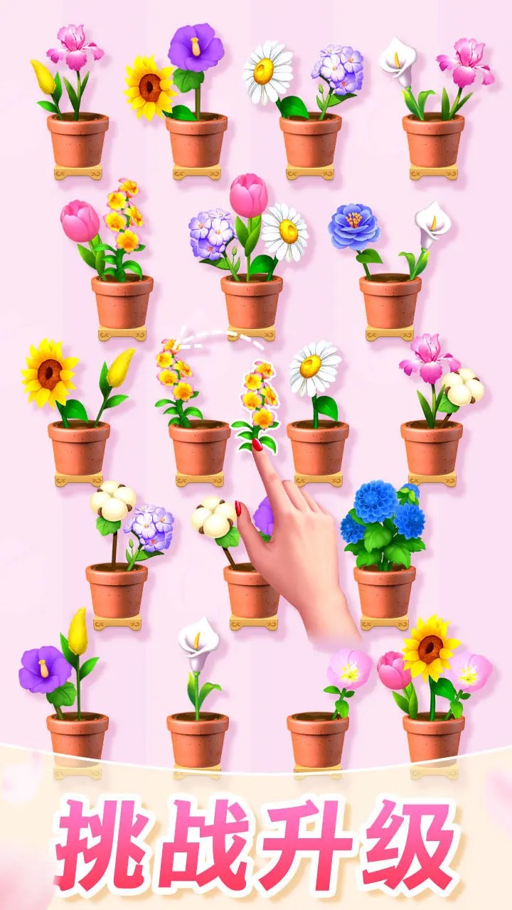 插花消除图4