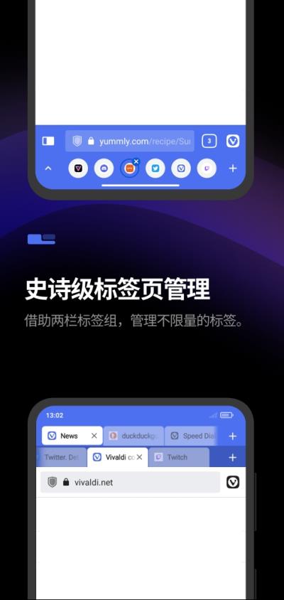 Vivaldi图2