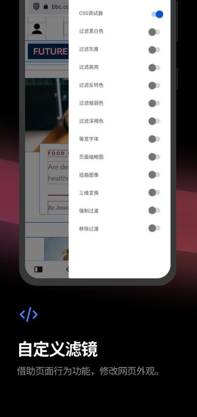 Vivaldi图4