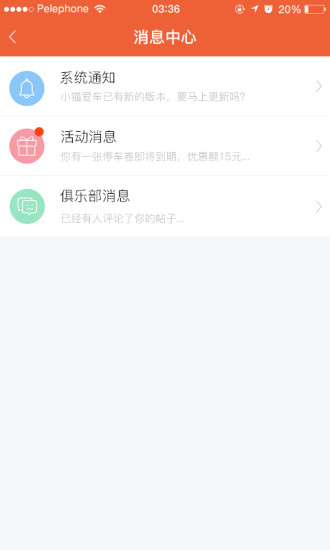 小猫爱车图3
