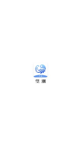 望潮图1