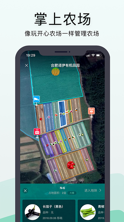 神农口袋图5