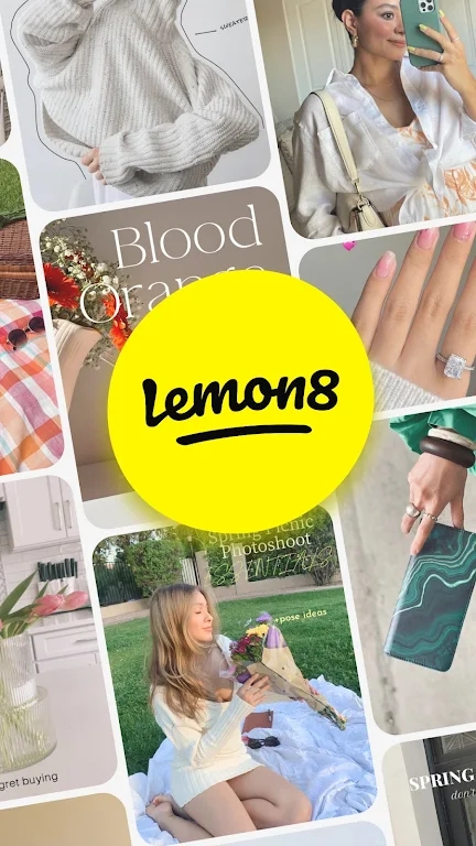 lemon8图4