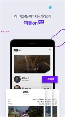 Purple图2